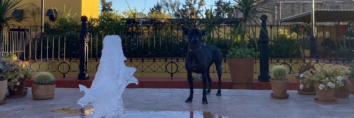 sofiafranco_99's profile banner image