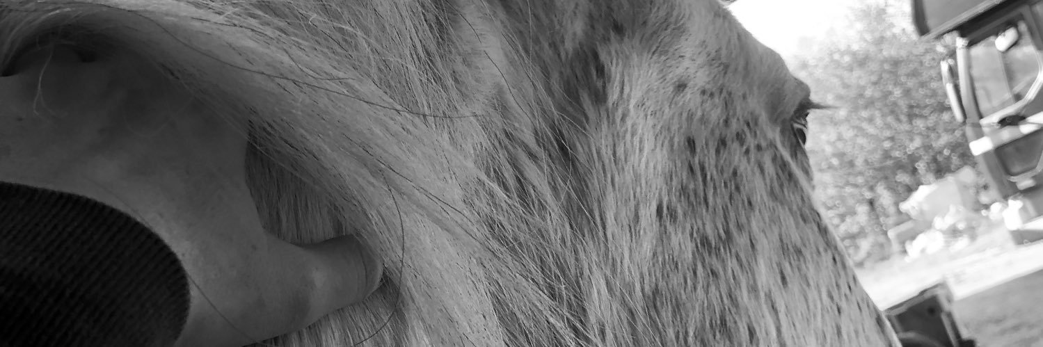 Amy Nettleton banner