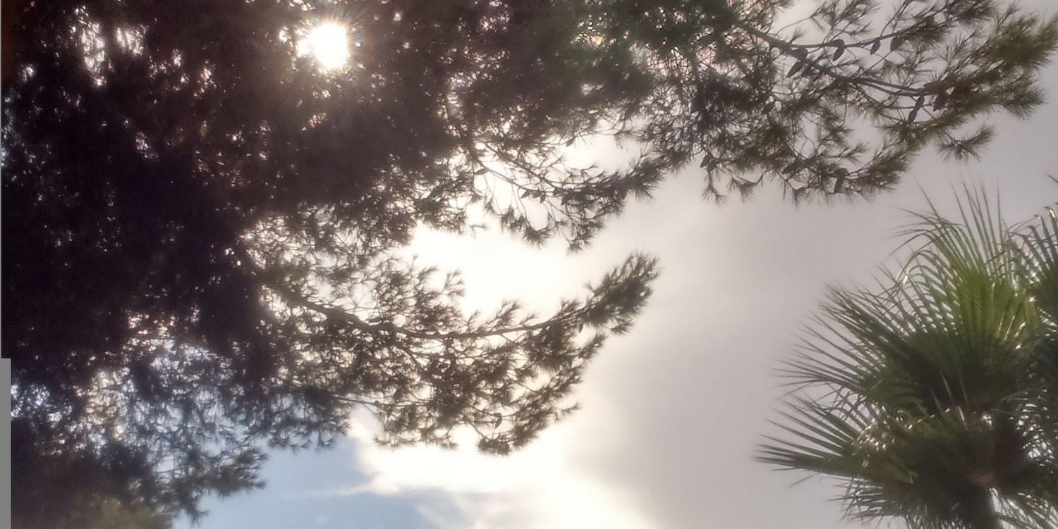 MM_nata's profile banner image