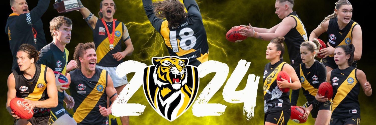 MitchamFC's profile banner image