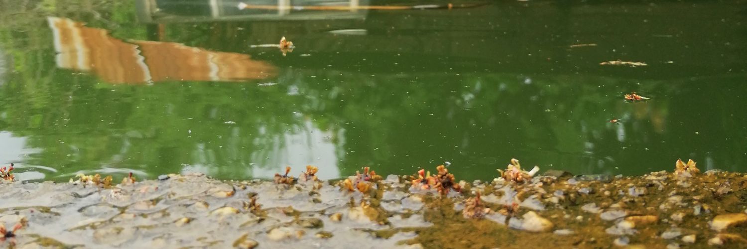 Jrqg27's profile banner image