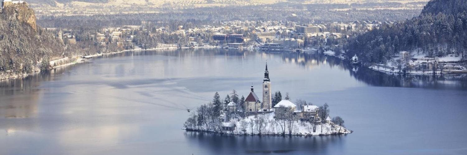 Victor Frankenstein banner