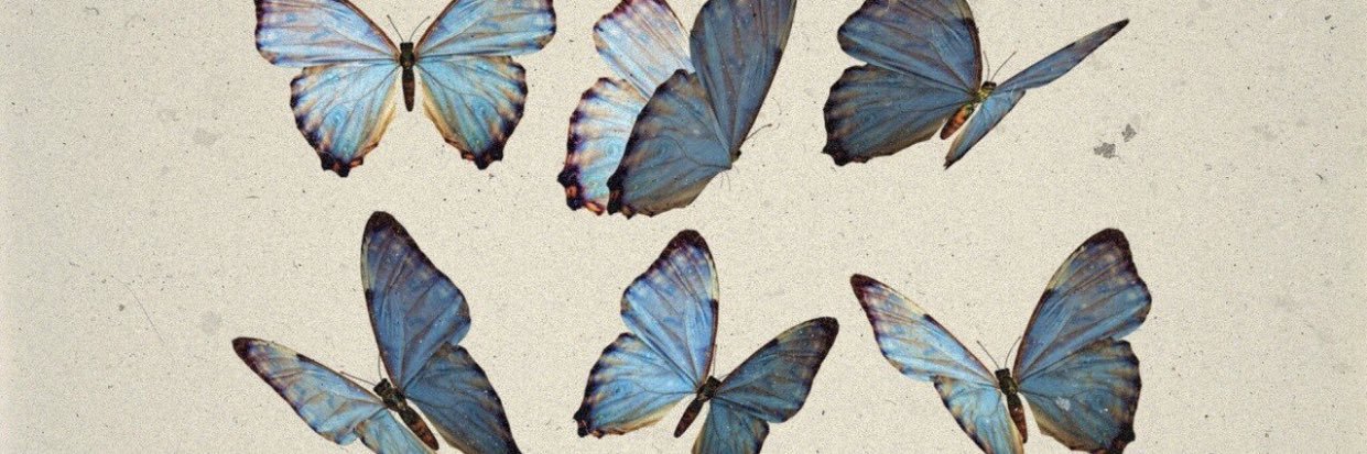 _xLinaMarie's profile banner image
