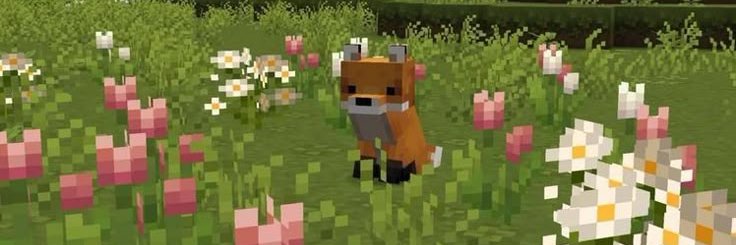 EvaNextDoorr's profile banner image