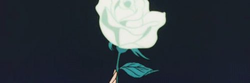 kaylamillot's profile banner image