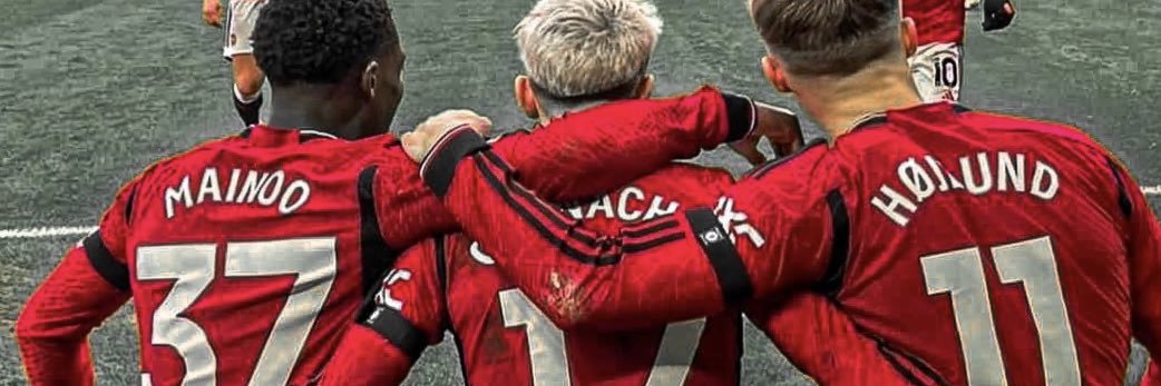 CarrickBall ❤️ banner