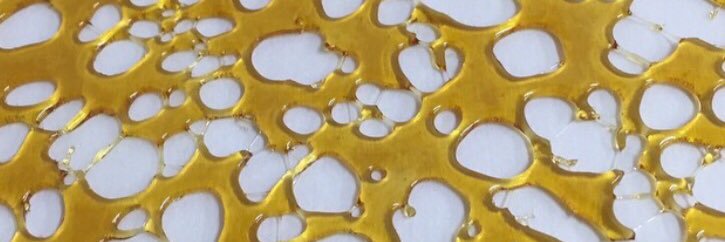 globgerrls's profile banner image