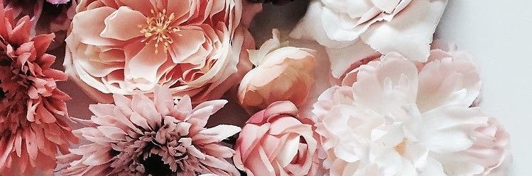 SarahPotts4's profile banner image