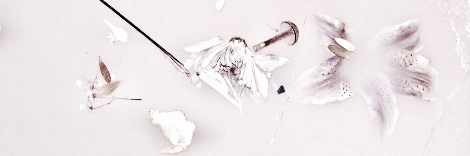 1DAddictedItaly's profile banner image