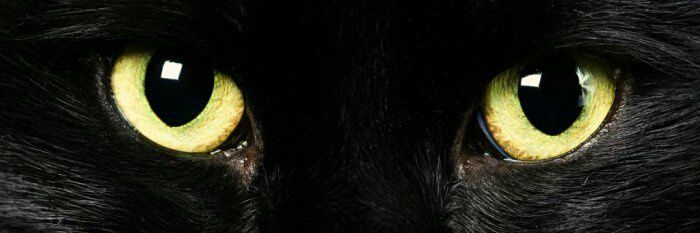 MBakrr's profile banner image