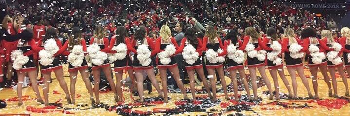 Jessica Dattilo banner