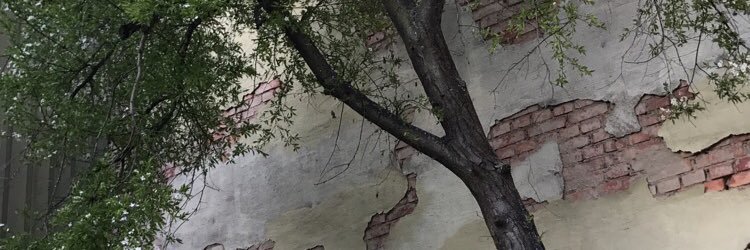 gustavba's profile banner image