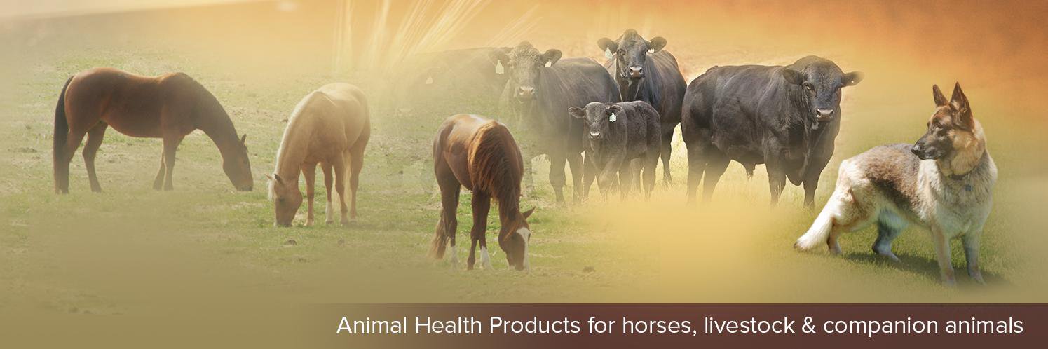 SCA_Health's profile banner image