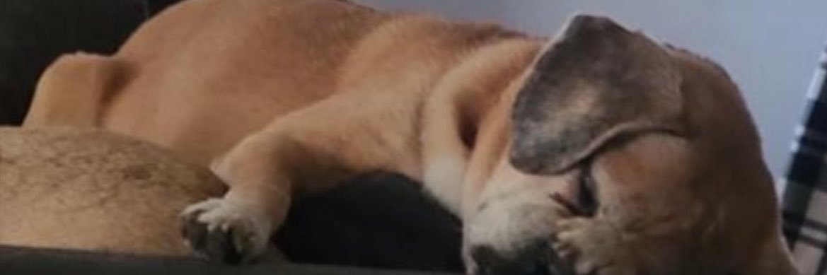 ImLeizy's profile banner image