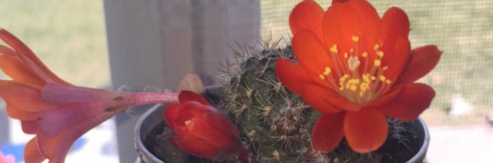 aubreytnn's profile banner image