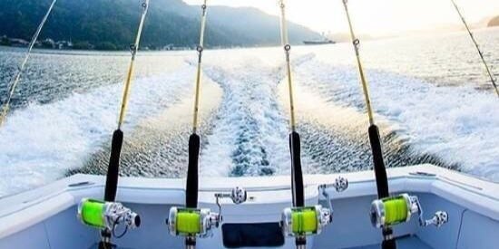 Martin Anderson banner