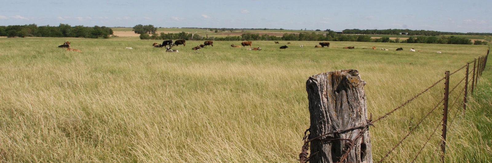 ranchtvu's profile banner image