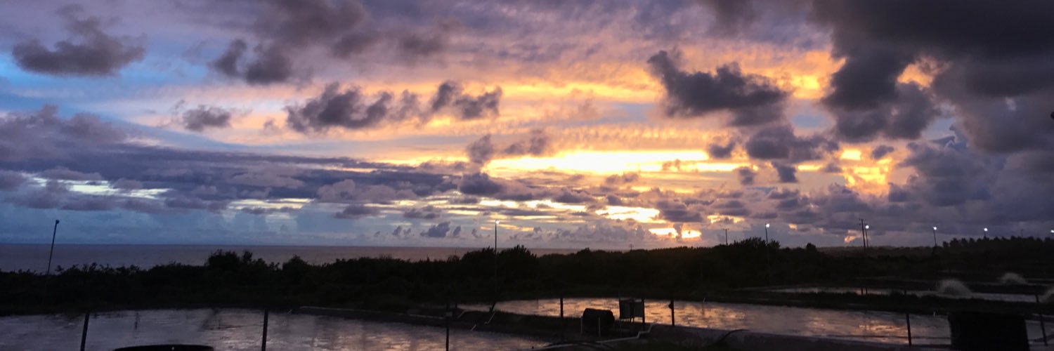 darussek's profile banner image