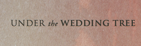 StevenDAyres's profile banner image