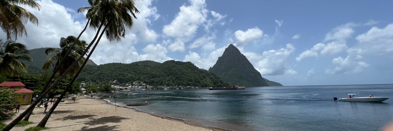 Tom the Writer banner