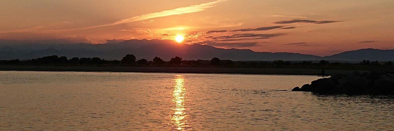 Diane Frachon banner