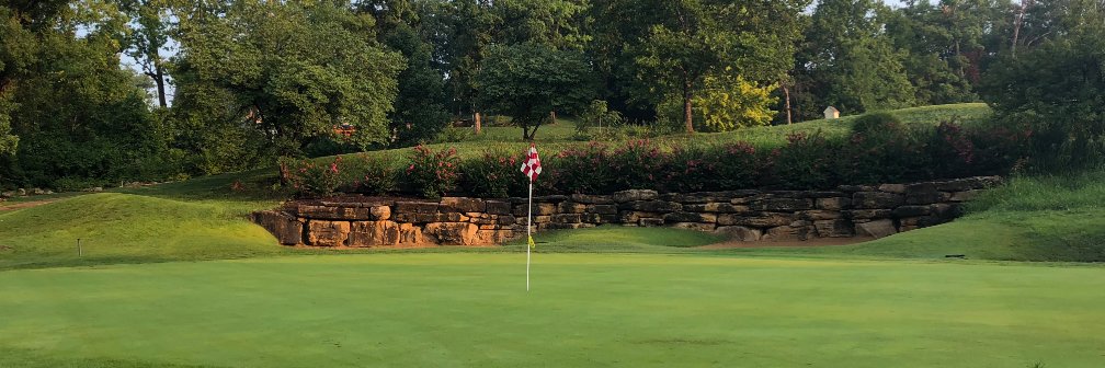 tapawingogolf's profile banner image