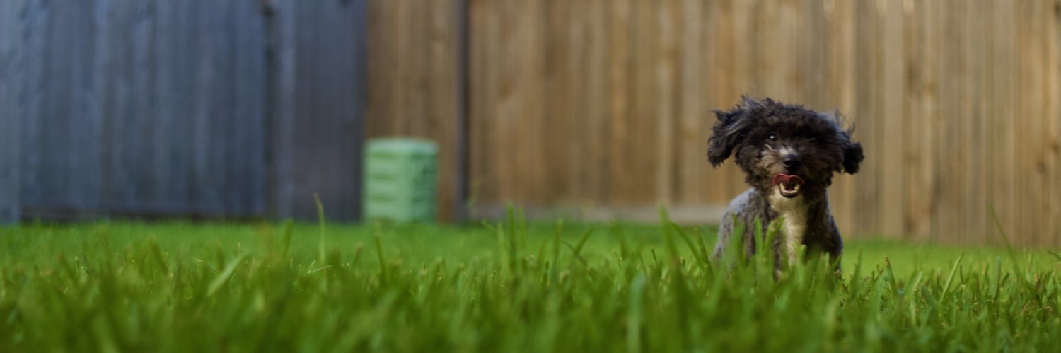 forevertifferzz's profile banner image
