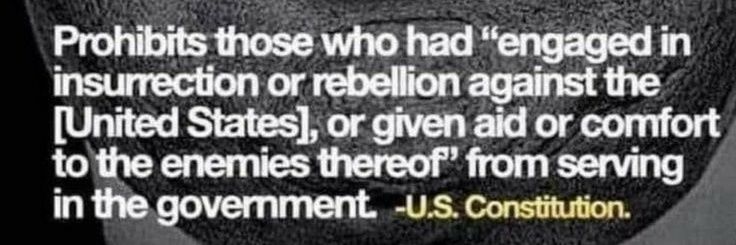 14th Amendment Section 3 NOW! banner