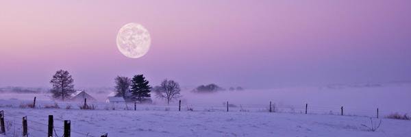 Jason Prichard banner