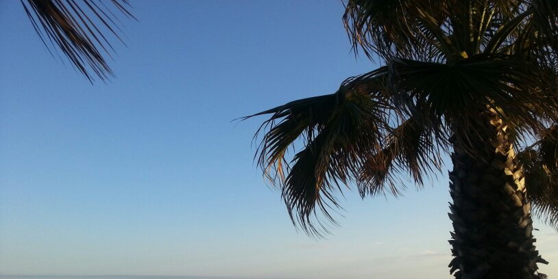 eramos85's profile banner image