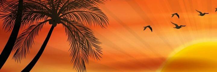 Dimulik_spb's profile banner image