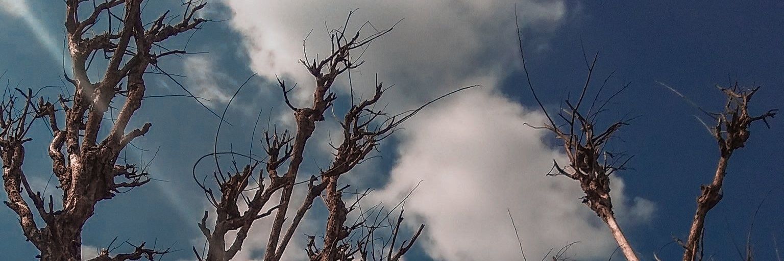 mbaiyahh's profile banner image