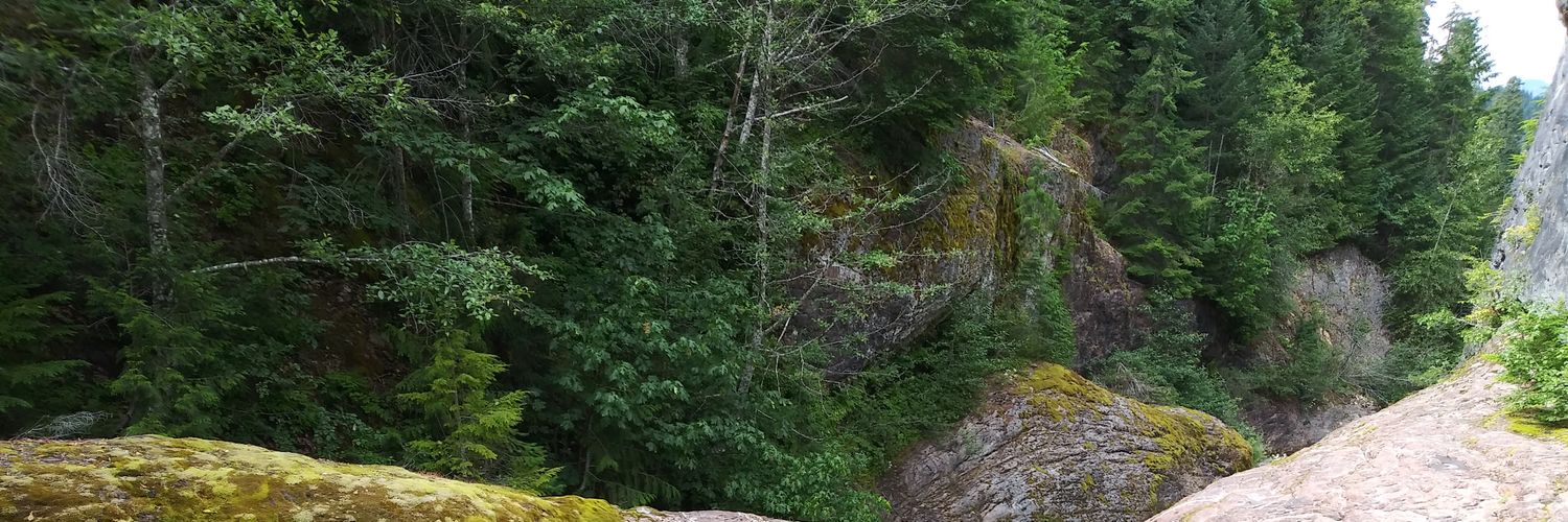 berdybeyer's profile banner image