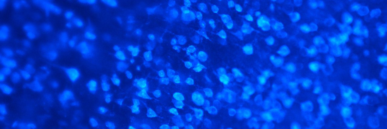 Anton Dogadov banner