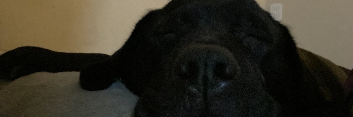 camirobilotta's profile banner image