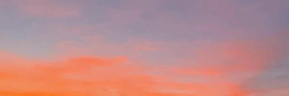 AAA55220's profile banner image