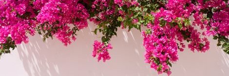 Winnie Street banner