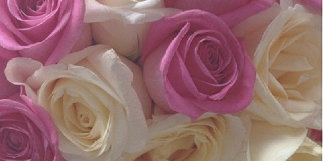 monserratAlrm's profile banner image