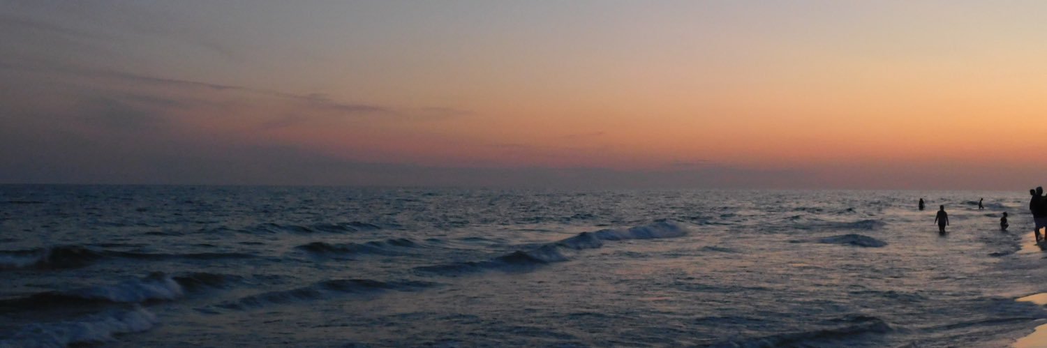 Madelyn_Dup's profile banner image