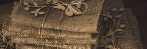 danicobosb Profile Banner