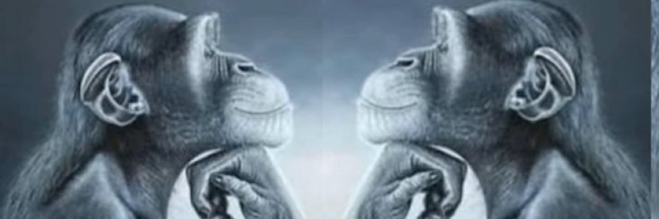 TayetheBaller's profile banner image