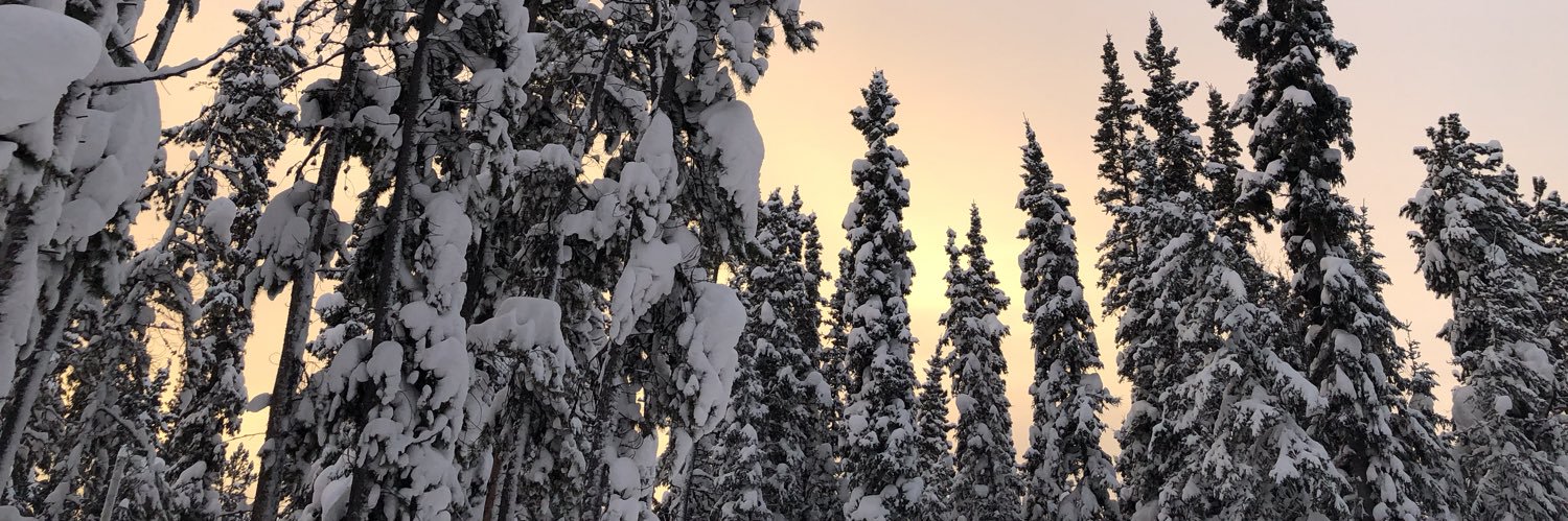 Danielle d'Entremont banner