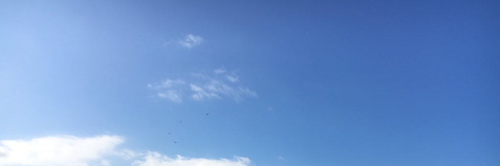 fish1987's profile banner image