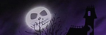 seashorepunk's profile banner image