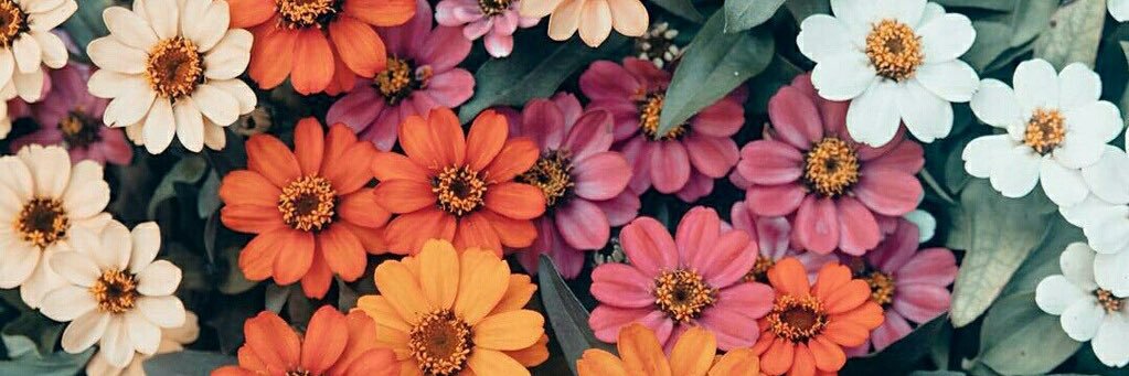 SarahBeatley's profile banner image