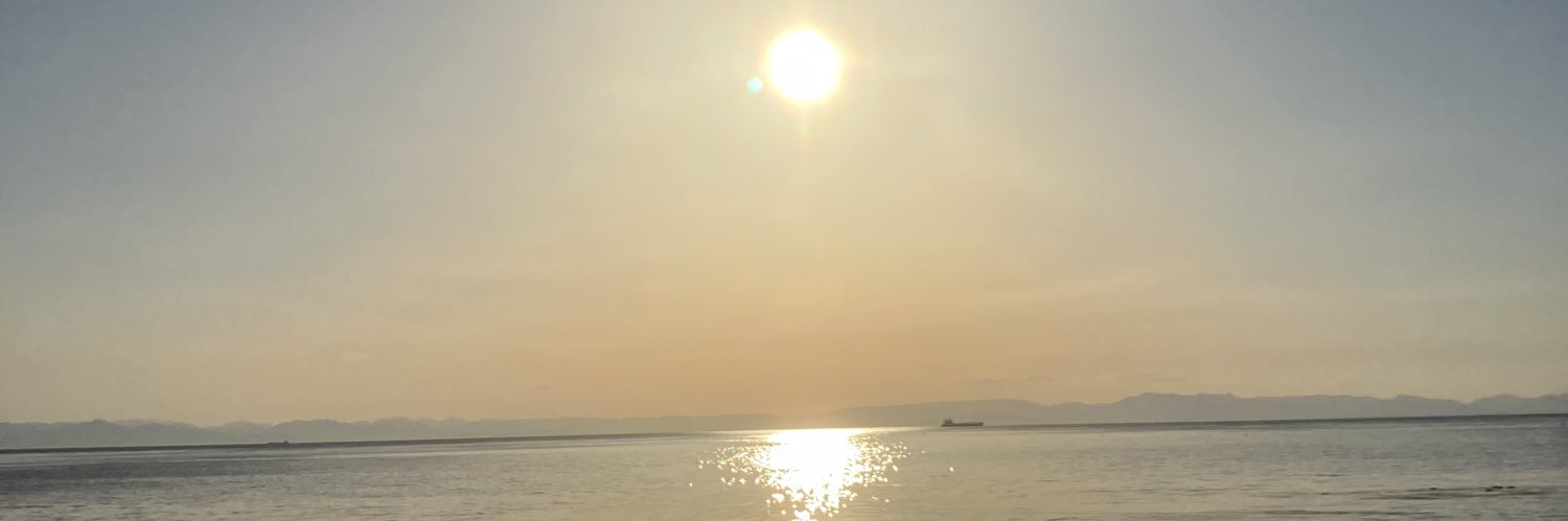 アラン・アオキ@夢の国の王 banner