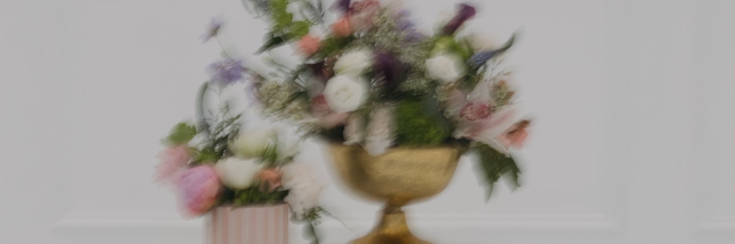 purcell_brooke's profile banner image