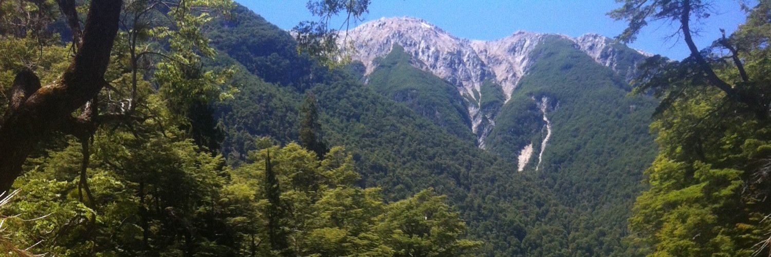 Pilitoress8's profile banner image
