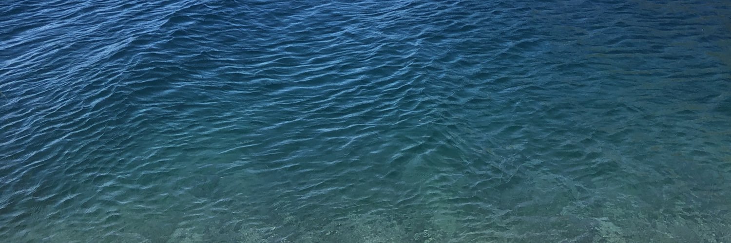 PetersenDelfi's profile banner image