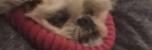 ppayjj's profile banner image